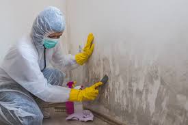 Best Mold Prevention Services  in Ontario, OH